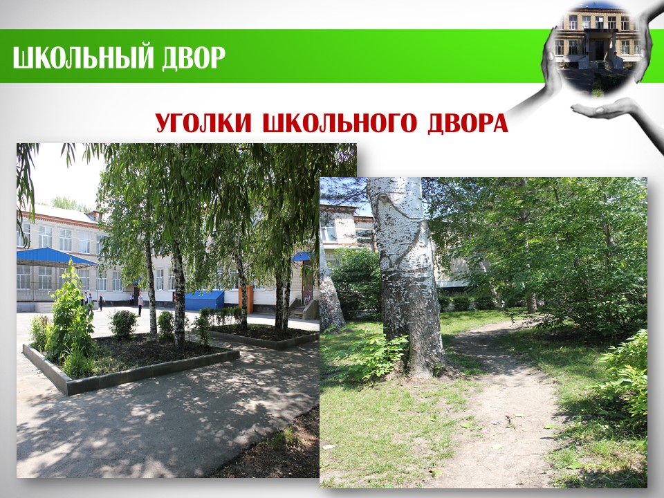 Уголки школьного двора